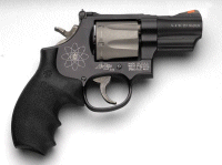 SW 386 PD
