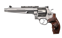 SW 629 Comped Hunter